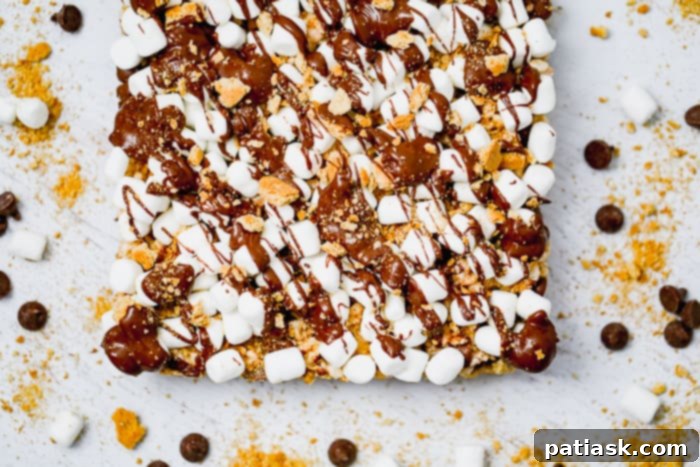 No-Bake S'mores Krispie Bars 6 Plated Marshmallow S'mores Rice Krispies treats