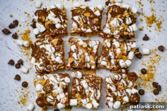 No-Bake S'mores Krispie Bars 7 Another angle of Marshmallow S'mores Rice Krispies treats