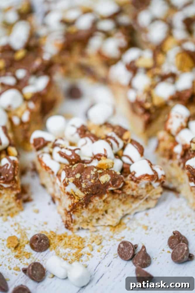 No-Bake S'mores Krispie Bars 3 Gooey S'mores Rice Krispies Treats with melted chocolate and marshmallows