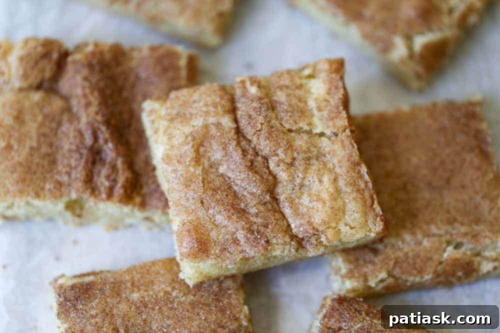 Homemade Snickerdoodle Cookie Bars!
