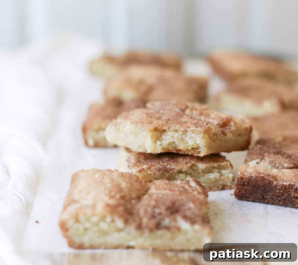 RECIPE Homemade Snickerdoodle Cookie Bars