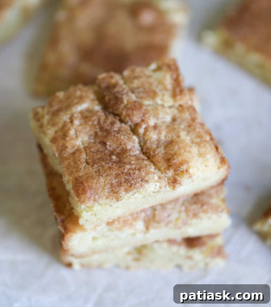 RECIPE Homemade Snickerdoodle Cookie Bars