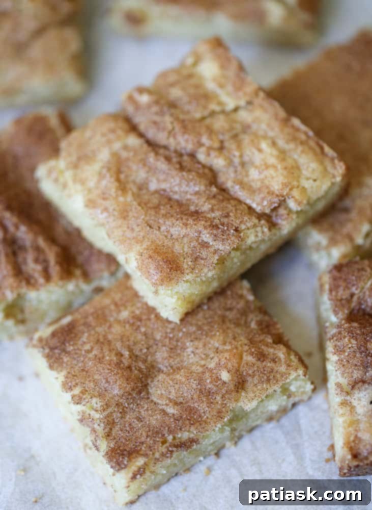 RECIPE Homemade Snickerdoodle Cookie Bars