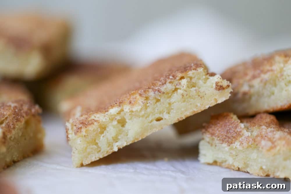 RECIPE Homemade Snickerdoodle Cookie Bars