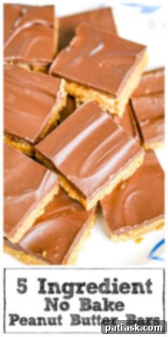 Easy 5-Ingredient Peanut Butter Bars 7 5 Ingredient Peanut Butter Bars, beautifully presented