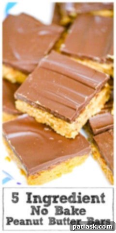 Easy 5-Ingredient Peanut Butter Bars 12 Yummy top view of the two layers of 5-Ingredient Peanut Butter Bars