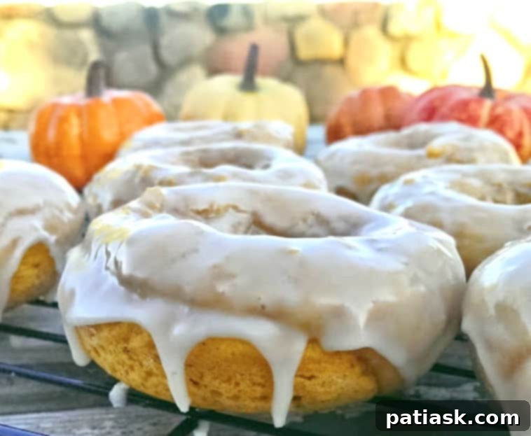 Spiced RumChata Pumpkin Donuts 2 baked pumpkin donuts with RumChata glaze
