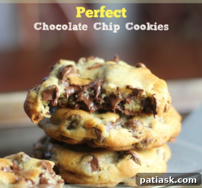 10 Unforgettable Chocolate Chip Cookies 2 Perfect Chocolate Chip Cookies