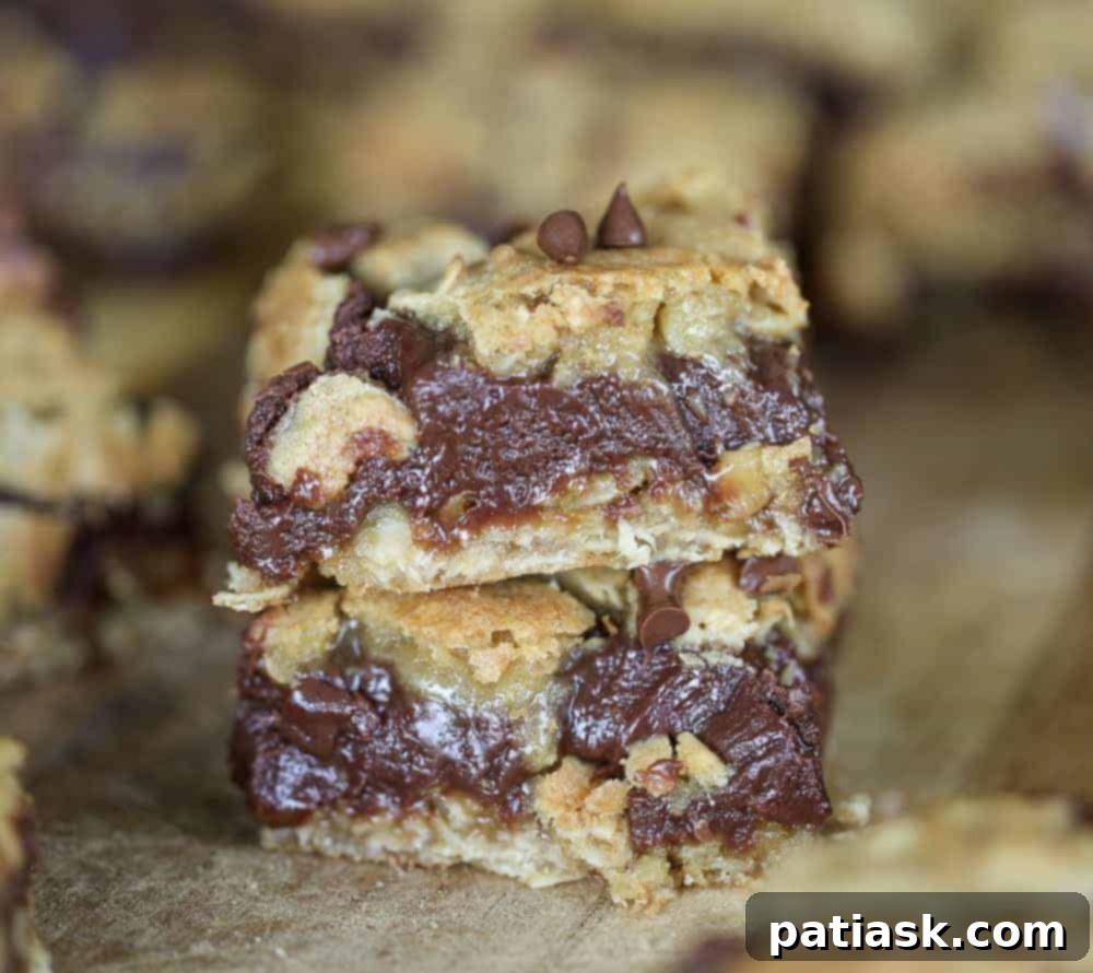 Delicious Chocolate Oatmeal Fudge Bars