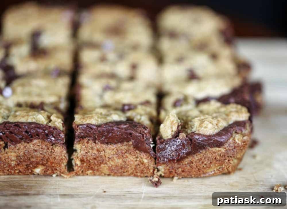 Close-up of Chocolate Oatmeal Fudge Bars