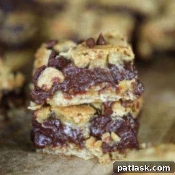 Chocolate Oatmeal Fudge Bars (Gluten Free Option)
