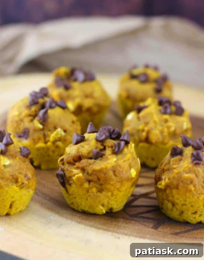 Healthy Mini Pumpkin Oat Chocolate Chip Muffins - A Delicious Fall Treat