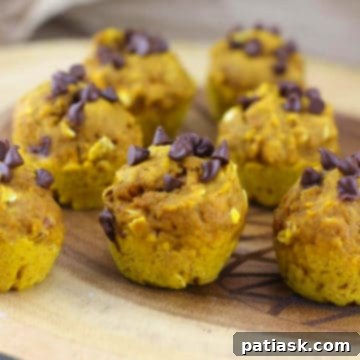 Healthy Mini Pumpkin Oat Chocolate Chip Muffins Recipe Image