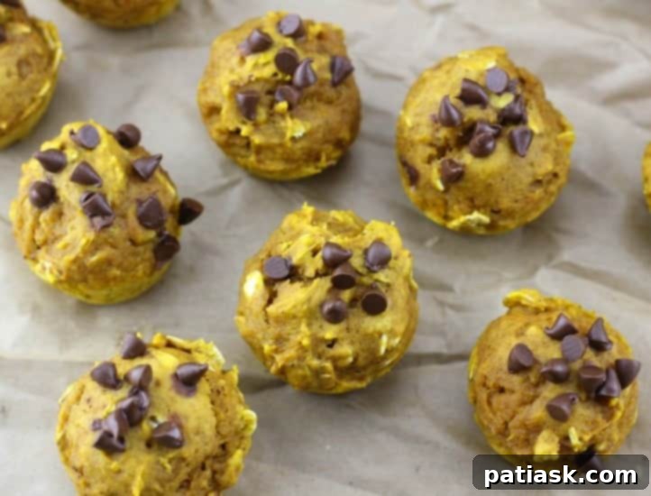 Close-up of Healthy Mini Pumpkin Oat Chocolate Chip Muffins with a rustic background and autumn leaves
