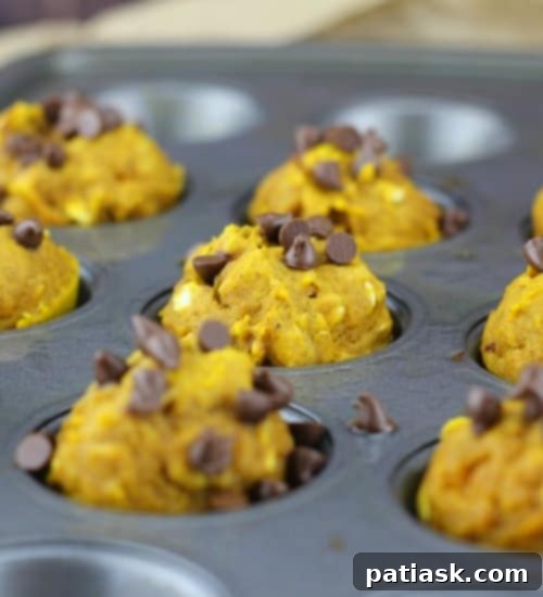 Overhead shot of Healthy Mini Pumpkin Oat Chocolate Chip Muffins on a rustic wooden board with autumn decorations