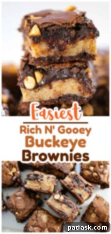 Rich and Gooey Buckeye Brownie Bars 12 Rich N' Gooey Buckeye Brownies