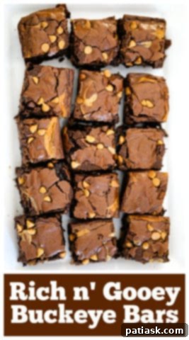 Rich and Gooey Buckeye Brownie Bars 13 Rich n' Gooey Buckeye Bars
