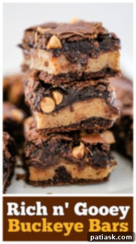 Rich and Gooey Buckeye Brownie Bars 14 Rich n' Gooey Buckeye Bars