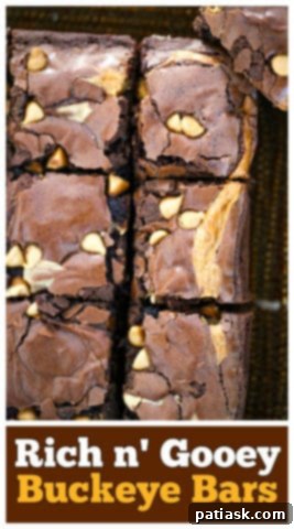Rich and Gooey Buckeye Brownie Bars 16 Rich n' Gooey Buckeye Bars