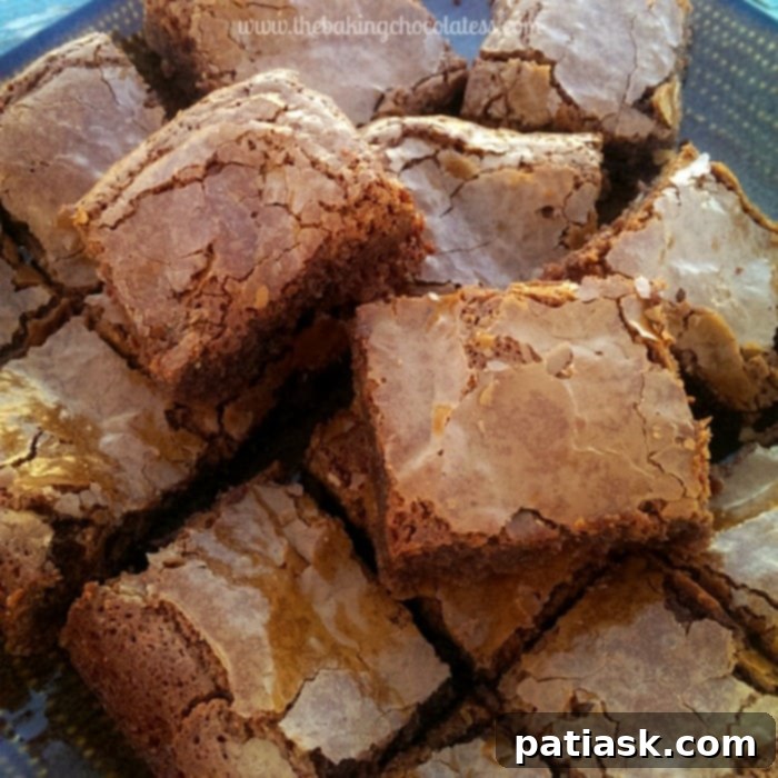 Fudgy Milk Chocolate Flourless Brownies 4 Rich Fudgy Gluten-Free Brownies