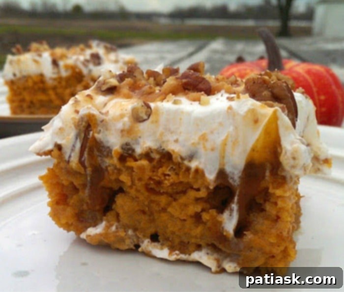 Decadent Pumpkin Butter Pecan Poke Cake 3 Pumpkin Butter Pecan Poke Cake! It's Insane!