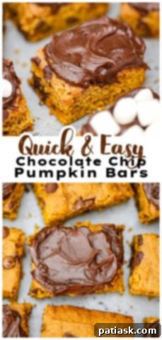 Autumn Spiced Chocolate Pumpkin Squares 11 Chocolate Chip Pumpkin Bars