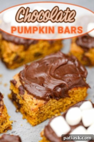 Autumn Spiced Chocolate Pumpkin Squares 12 Chocolate Chip Pumpkin Bars