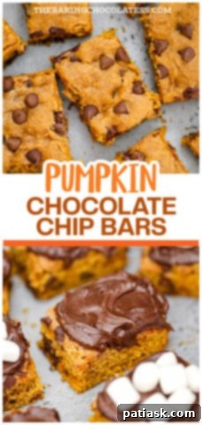 Autumn Spiced Chocolate Pumpkin Squares 13 Chocolate Chip Pumpkin Bars