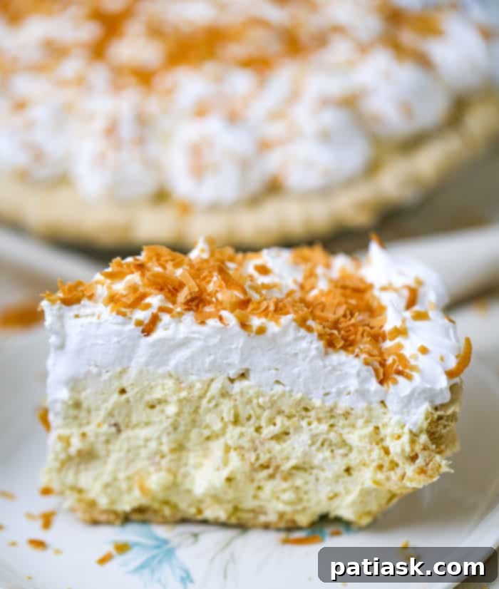 Tropical Cloud Pie 5 Coconut Cream Pie no bake recipe