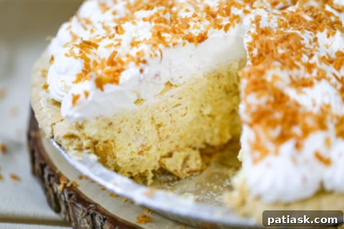 Tropical Cloud Pie 7 slice of creamy delish dessert