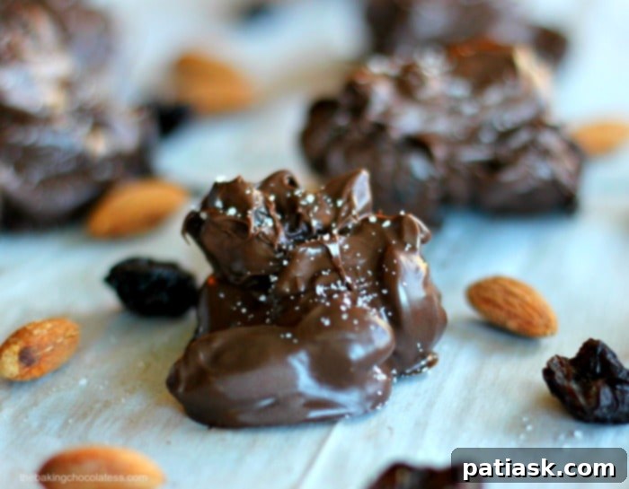 Decadent Dark Chocolate Almond Cherry Bites 6 Finished Dark Chocolate Covered Almond & Cherry Clusters with Sea Salt
