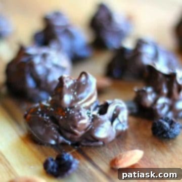 Decadent Dark Chocolate Almond Cherry Bites 7 Dark Chocolate Covered Almond & Cherry Clusters with Sea Salt