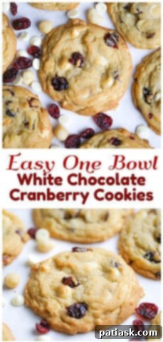 Irresistible White Chocolate Cranberry Cookies 9 Individual White Chocolate Cranberry Cookies cooling.
