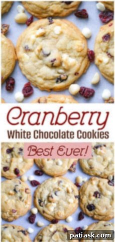 Irresistible White Chocolate Cranberry Cookies 10 White Chocolate Cranberry Cookies with a bite taken.