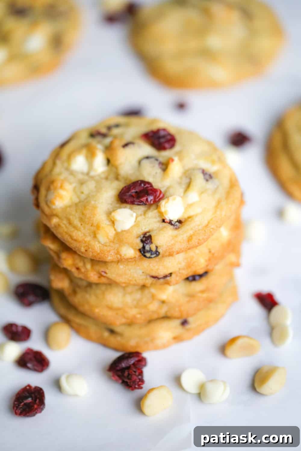 Irresistible White Chocolate Cranberry Cookies 4 Assorted White Chocolate Cranberry Macadamia Nut Cookies displayed beautifully.