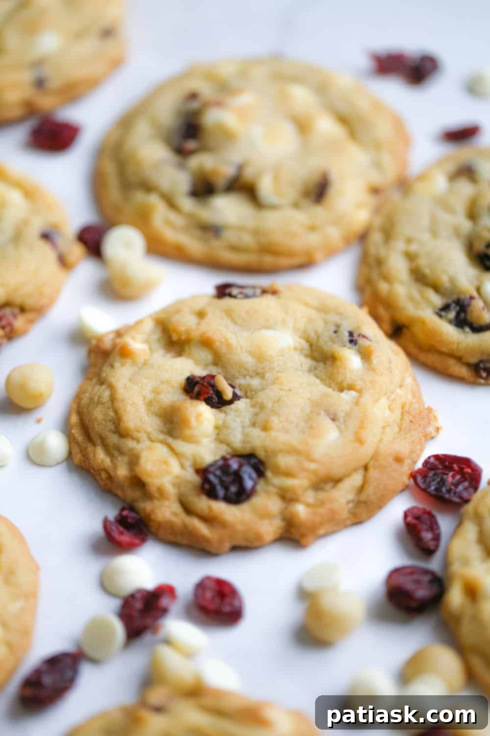 Irresistible White Chocolate Cranberry Cookies 5 Close-up of a stack of White Chocolate Cranberry Macadamia Nut Cookies.