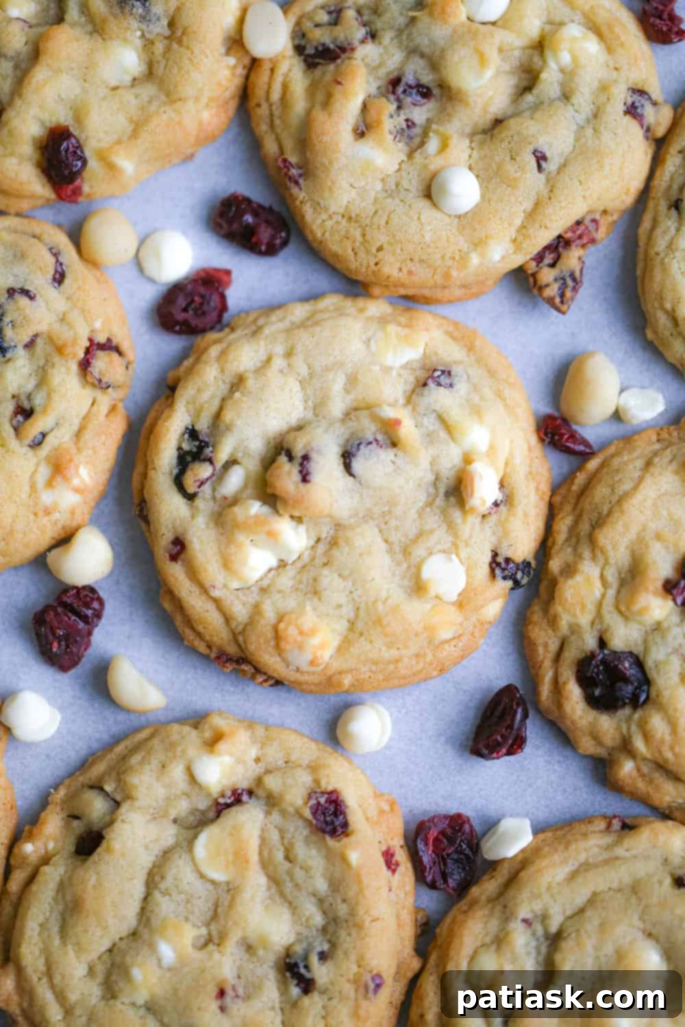 Irresistible White Chocolate Cranberry Cookies 6 Festive Christmas treats including White Chocolate Cranberry Cookies.