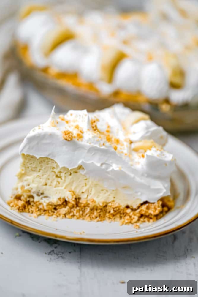 Dreamy No-Bake Banana Cream Pie 2 dessert summer slice