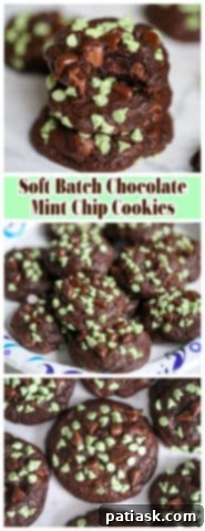 Irresistible Soft Batch Chocolate Mint Chip Cookies 9 Soft Batch Chocolate Mint Chip Cookies