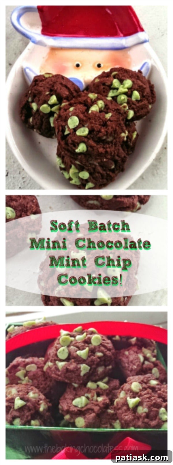 Irresistible Soft Batch Chocolate Mint Chip Cookies 11 Soft Batch Mini Chocolate Mint Chip Cookies! {Fudgy too!}