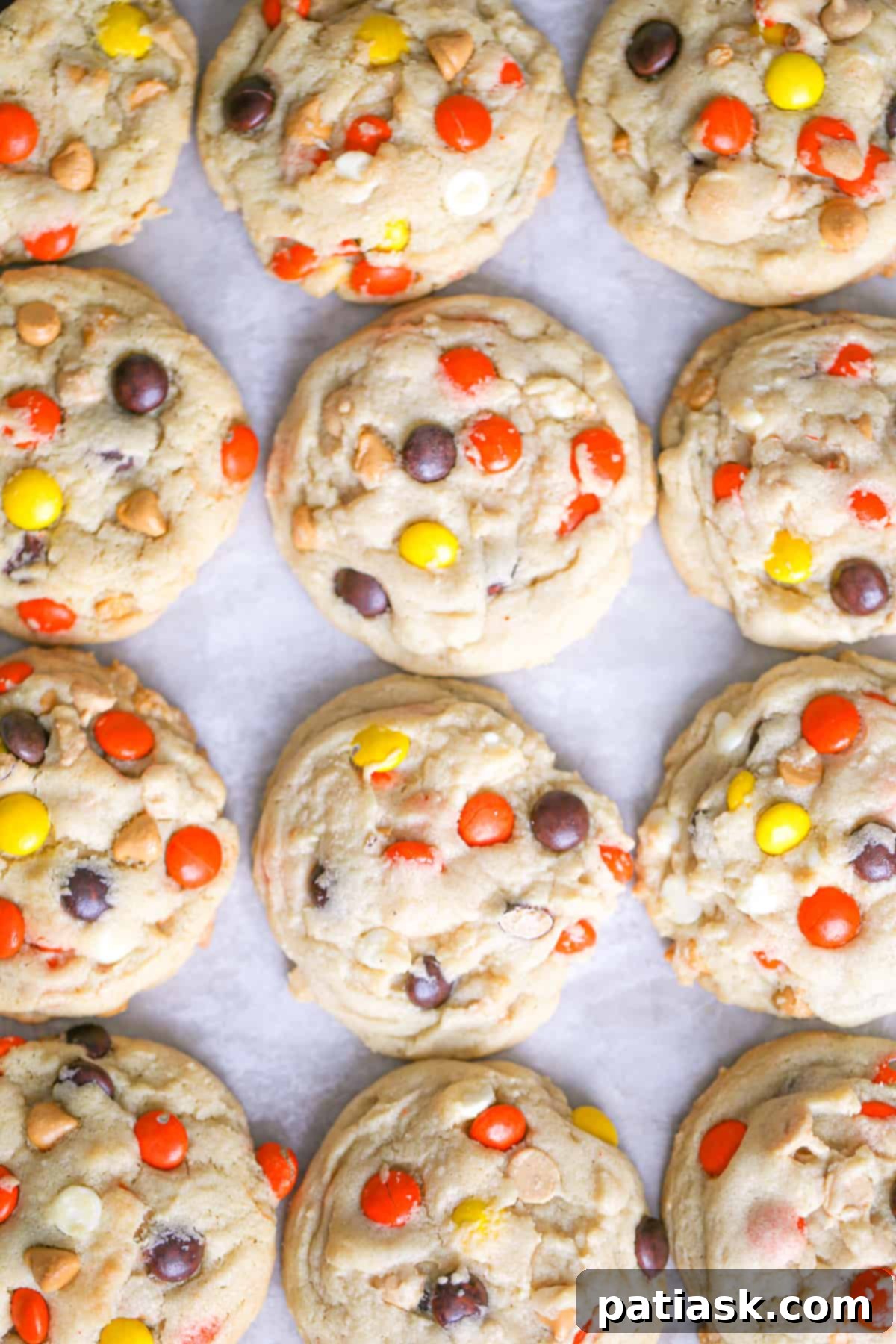 reese's pieces peanut butter cookies recipe