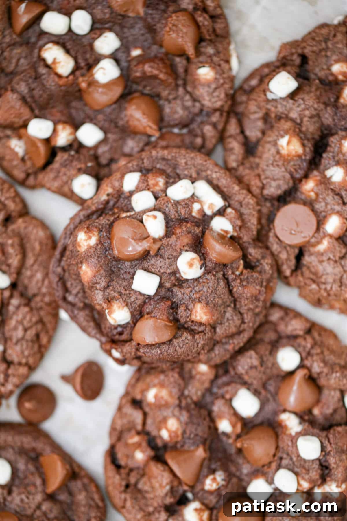 hot chocolate marshmallow cookies