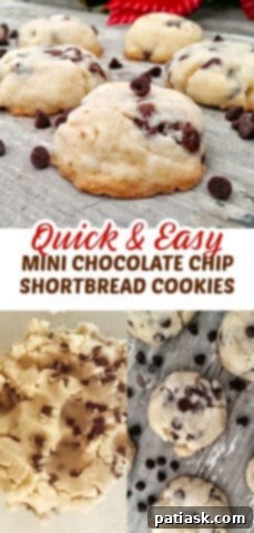 Close-up of a plate of Quick & Easy Mini Chocolate Chip Shortbread Cookies, ready to eat.