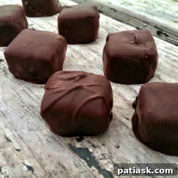 Hazelnut Chocolate Cheesecake Delights 4 Ghirardelli Dark Chocolate Covered Hazelnut Crisp Cheesecake Bites