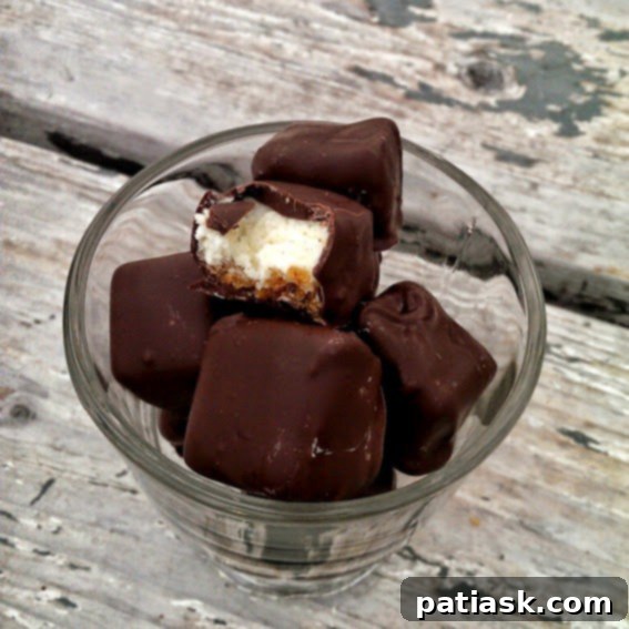 Hazelnut Chocolate Cheesecake Delights 2 Ghirardelli Dark Chocolate Covered Hazelnut Crisp Cheesecake Bites