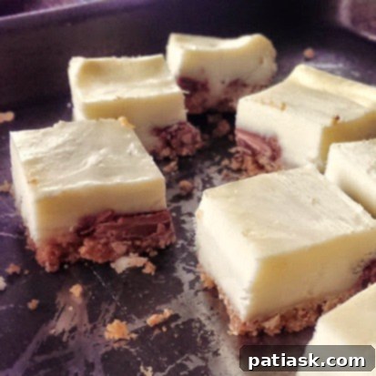 Hazelnut Chocolate Cheesecake Delights 3 Ghirardelli Dark Chocolate Covered Hazelnut Crisp Cheesecake Bites