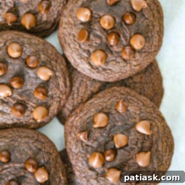 Effortless Brownie Cookies 9 Easy Brownie Mix Cookies