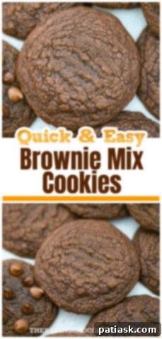Effortless Brownie Cookies 10 Easy Brownie Mix Cookies - close up of a single cookie