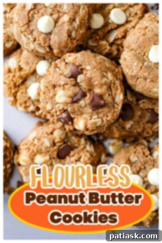 Feel-Good Peanut Butter Chocolate Chip Cookies 10 Flourless Peanut Butter Chocolate Chip Cookies