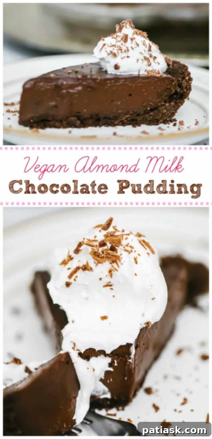 Vegan Almond Milk Chocolate Pudding Pie @ Daily Vegan Meal
